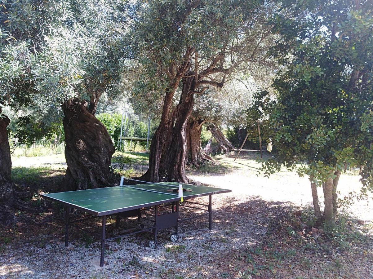 Bed and Breakfast Quinta Dos Valados Querenca Экстерьер фото